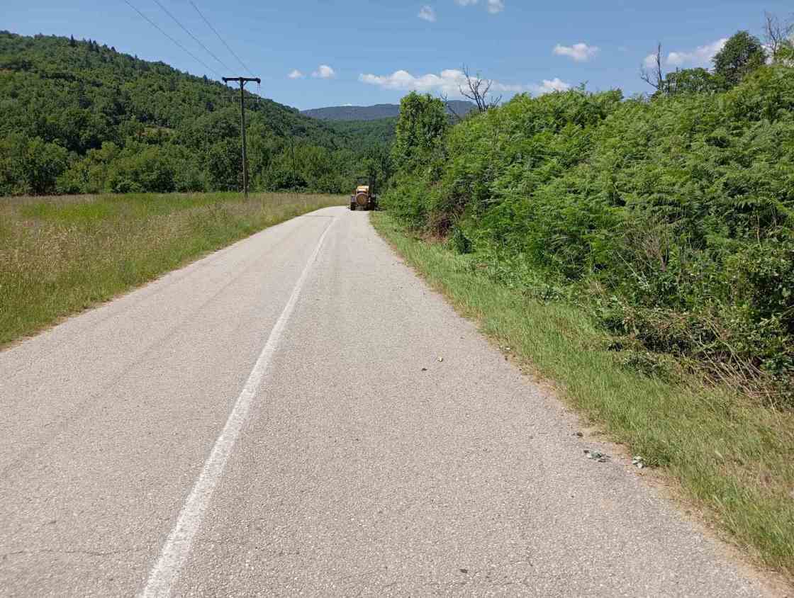Κοπή κλαδιών και διαμόρφωση τάφρων στον δρόμο Άργους Ορεστικού -Μελανθίου