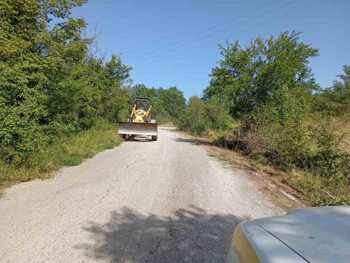 Κοπή κλαδιών στον δρόμο για Βράχο και Νίκη