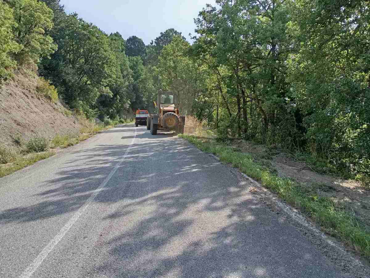 Κοπή κλαδιών στον δρόμο για Βράχο και Νίκη