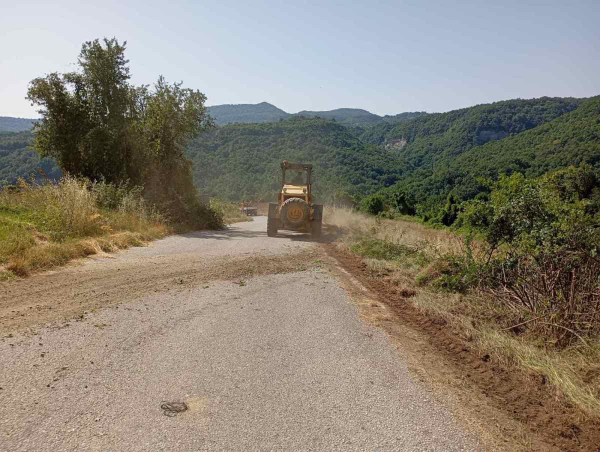 Κοπή κλαδιών στον δρόμο για Βράχο και Νίκη