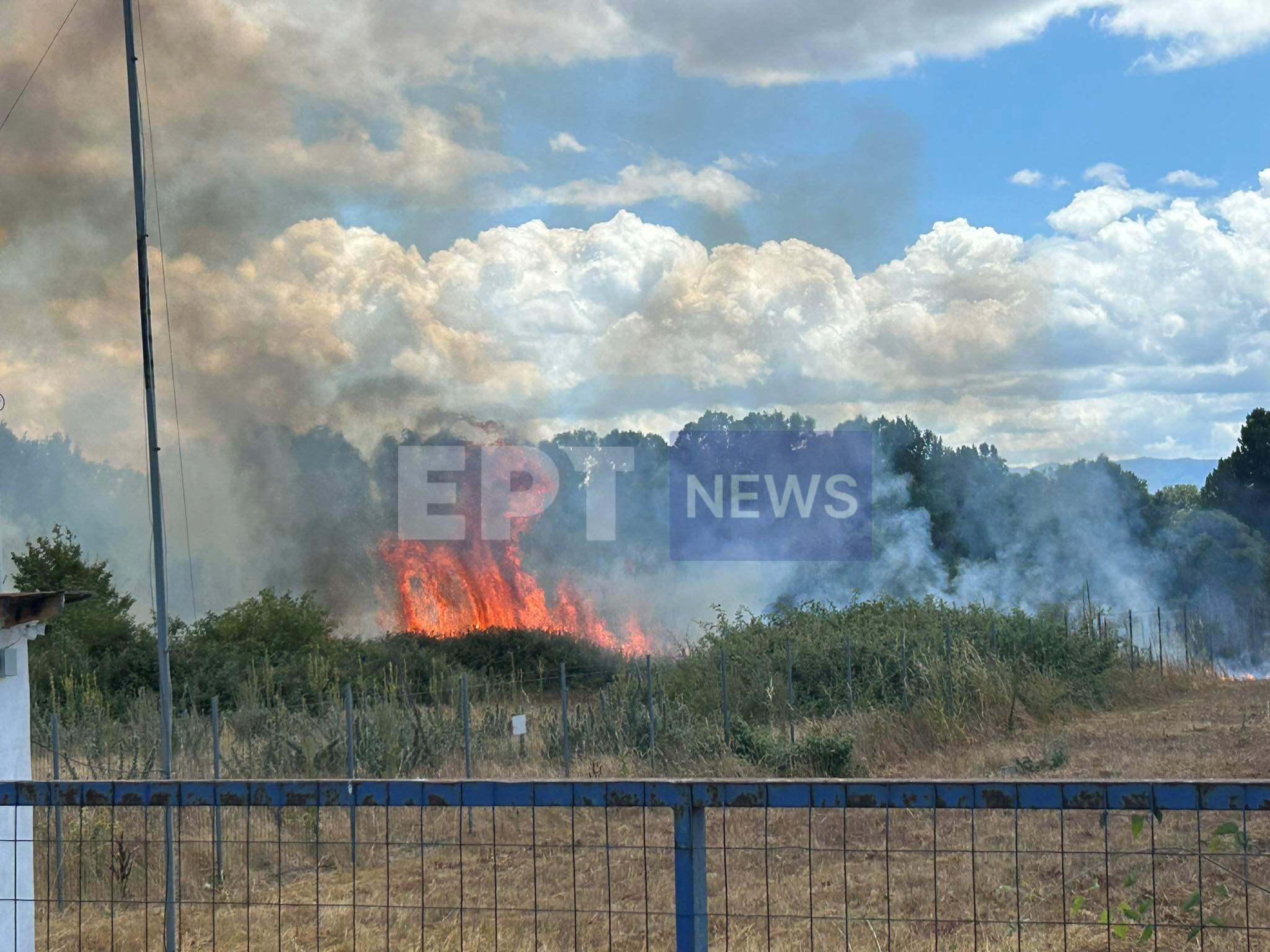 Καστοριά: Πυρκαγιά σε φωτοβολταϊκό πάρκο έξω από το χωριό Μεσοποταμία (βίντεο)