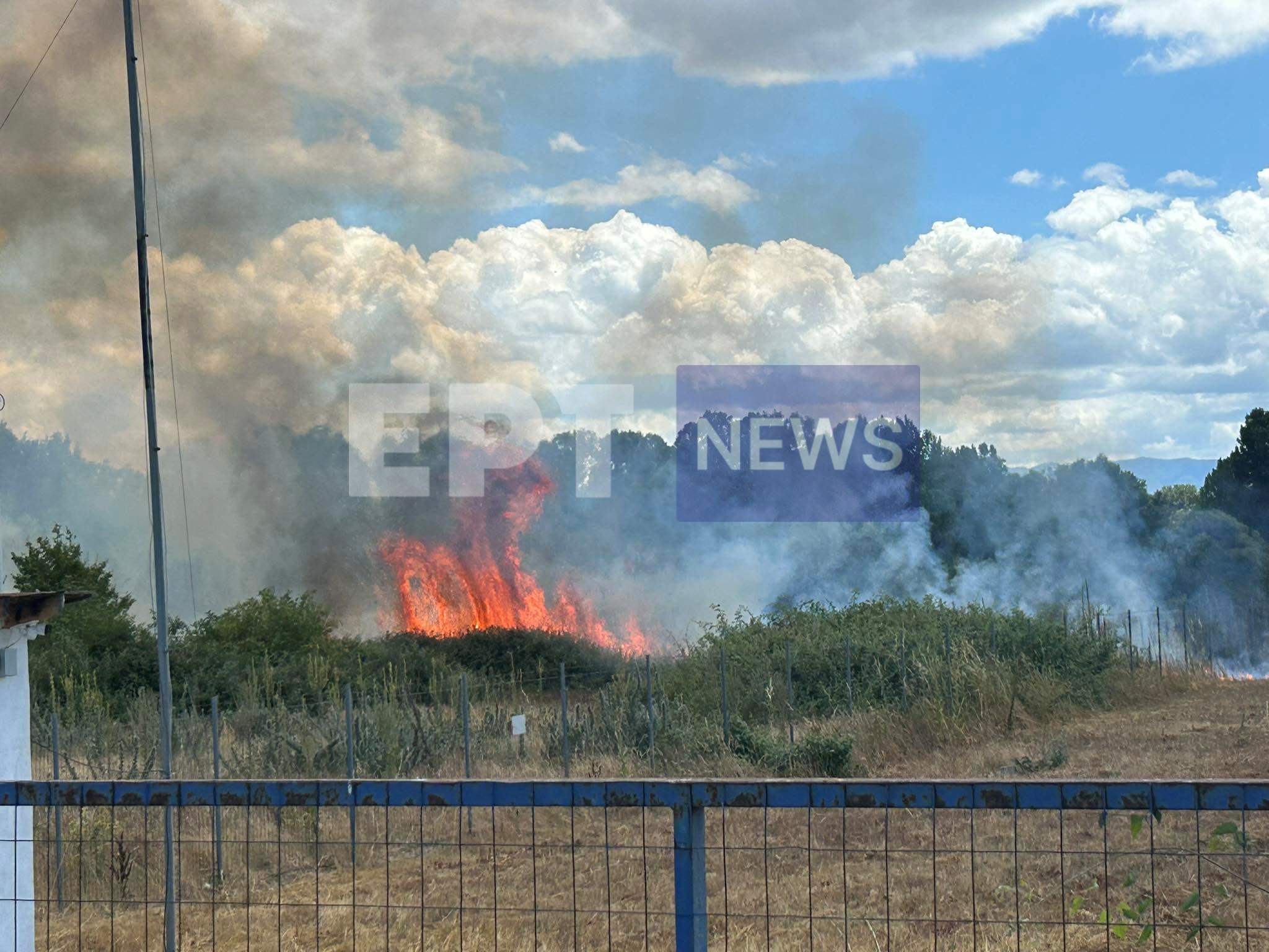 Καστοριά: Πυρκαγιά σε φωτοβολταϊκό πάρκο έξω από το χωριό Μεσοποταμία (βίντεο)