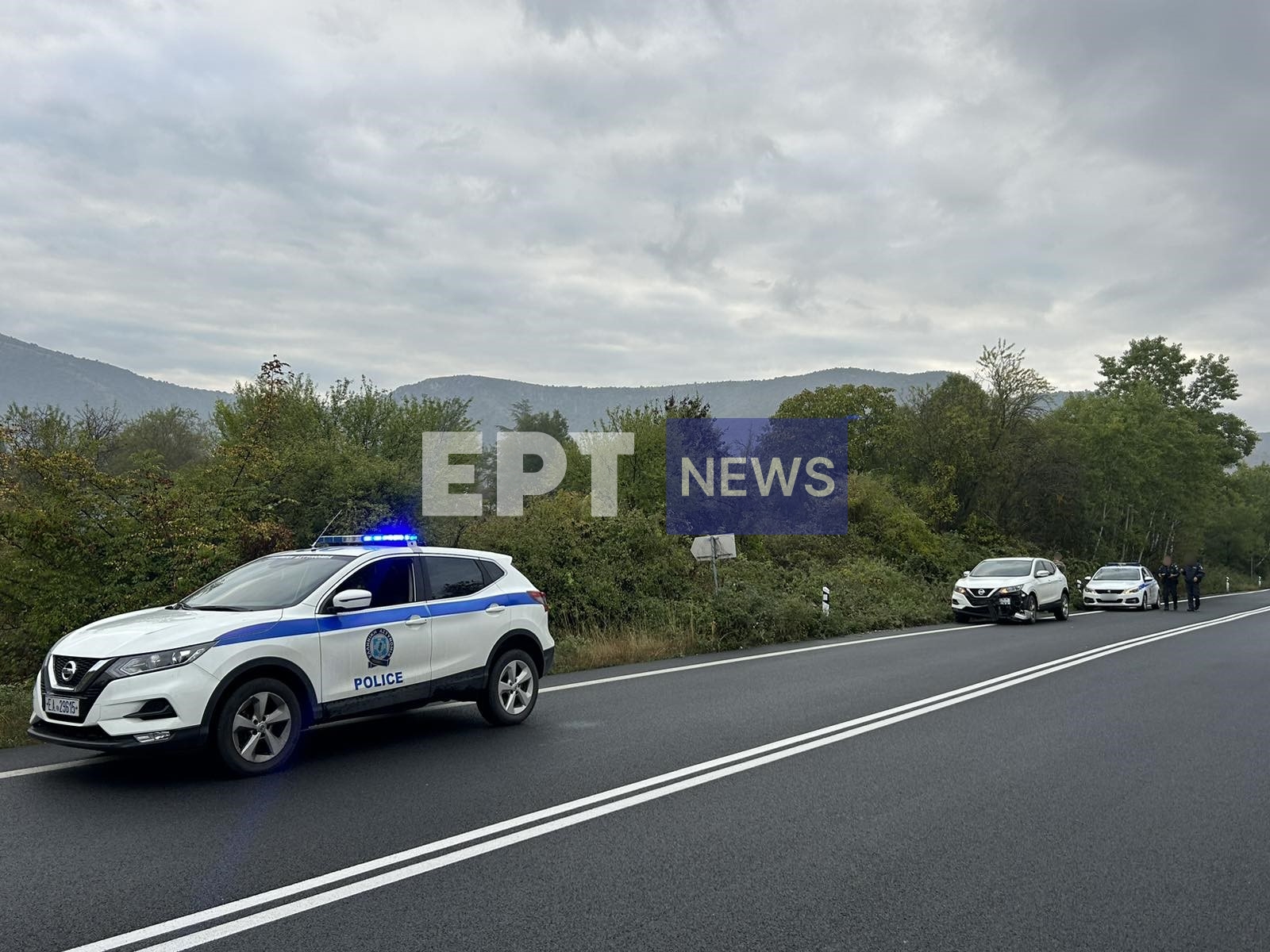 Καστοριά: Τροχαίο ατύχημα με νεκρό ζαρκάδι έξω από τους Αμπελόκηπους