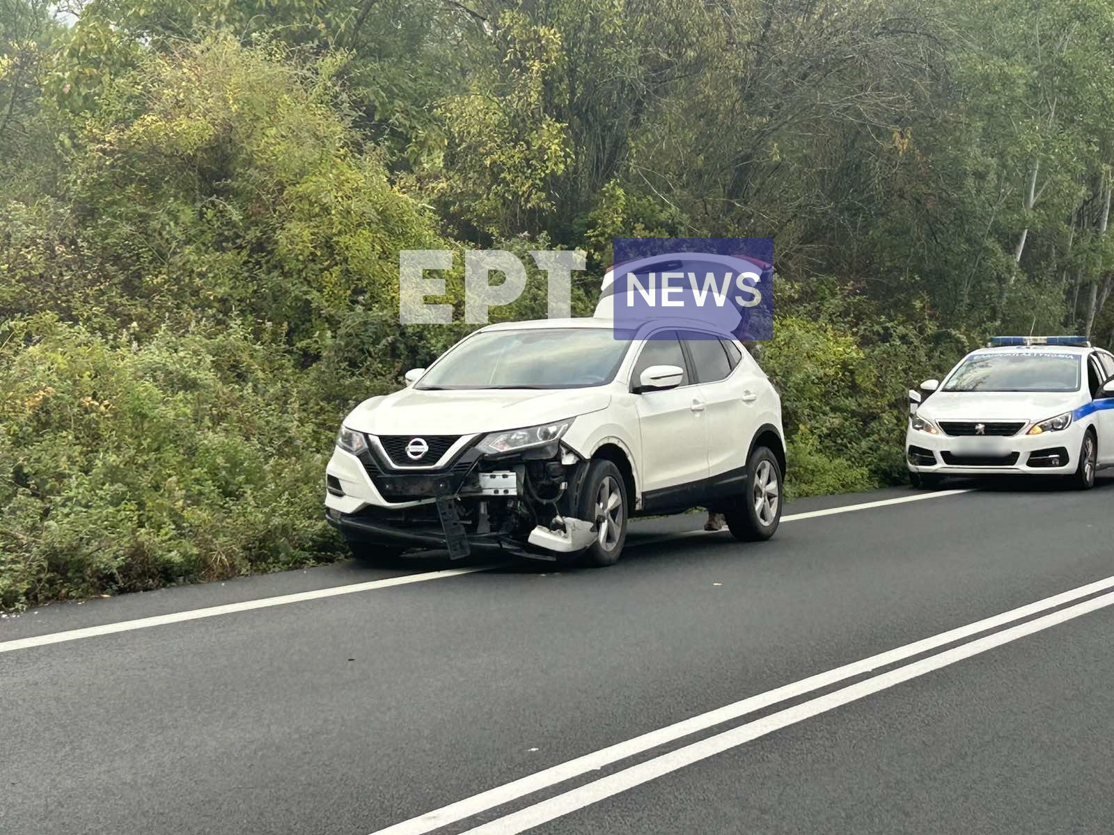 Καστοριά: Τροχαίο ατύχημα με νεκρό ζαρκάδι έξω από τους Αμπελόκηπους