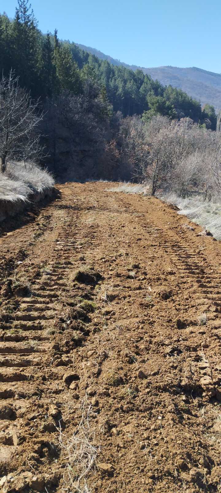 Διαμόρφωση Δασικής Οδοποιίας στην Περιοχή της Λιθιάς