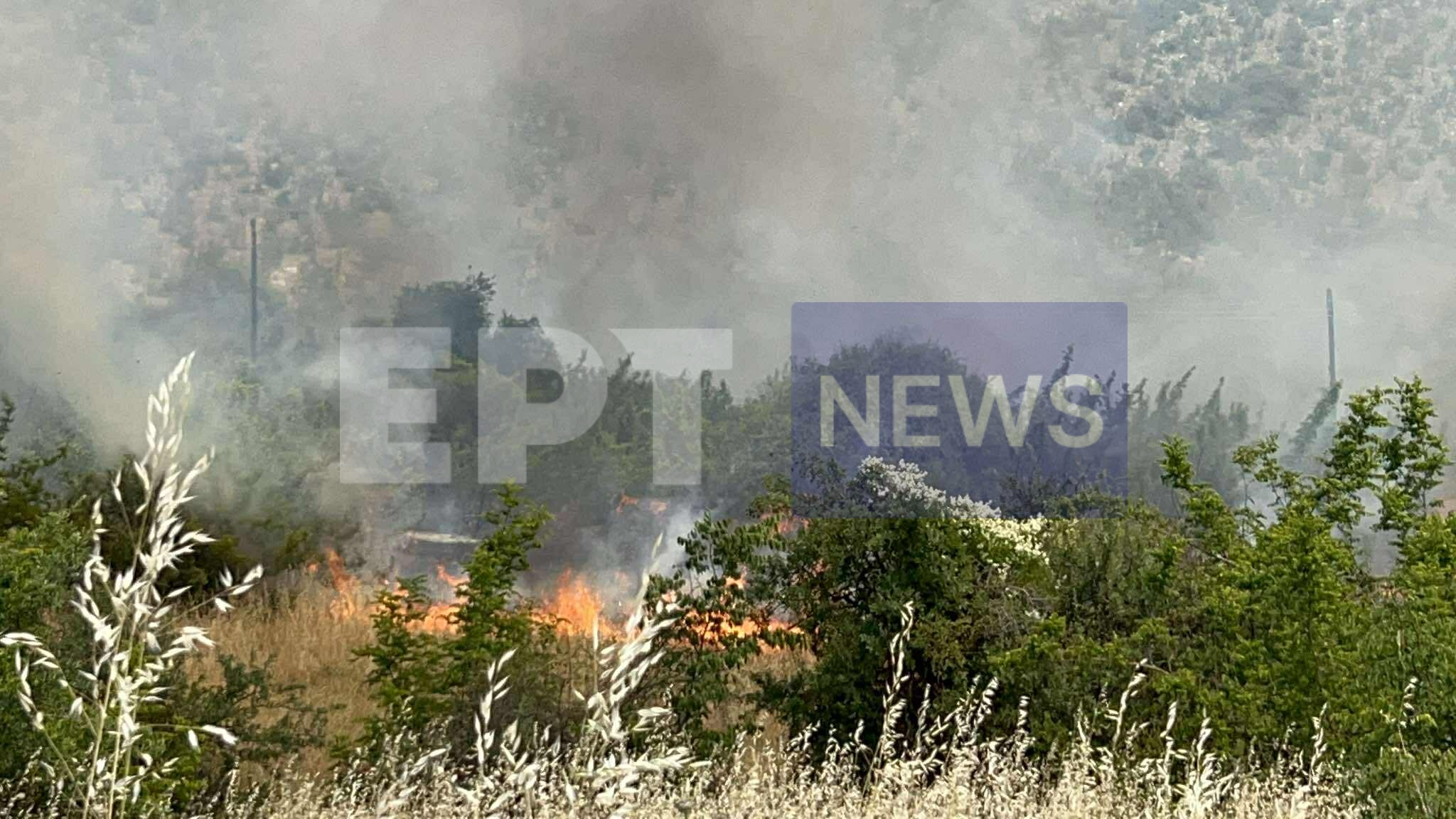Πυρκαγιά σε χορτολιβαδική έκταση στο Βογατσικό Καστοριάς – Απειλούνται δύο στάβλοι