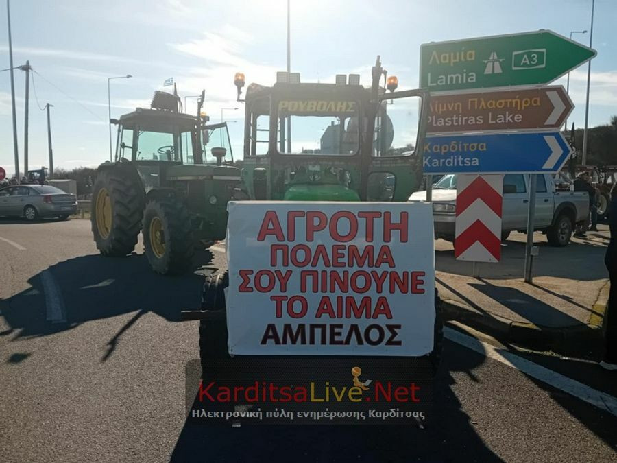 agrotes58_d0b5b.jpg