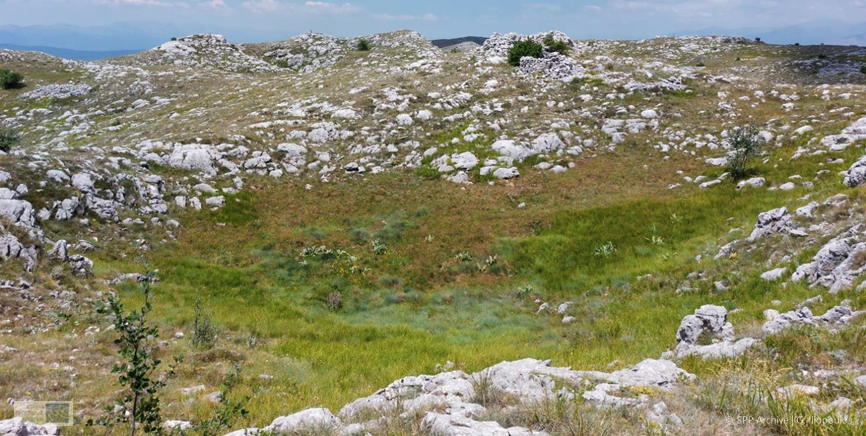 ΠΡΕΣΠΕΣ ΑΝΕΜΟΓΕΝΝΗΤΡΙΕΣ