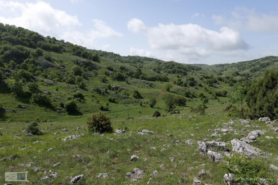 ΠΡΕΣΠΕΣ ΑΝΕΜΟΓΕΝΝΗΤΡΙΕΣ