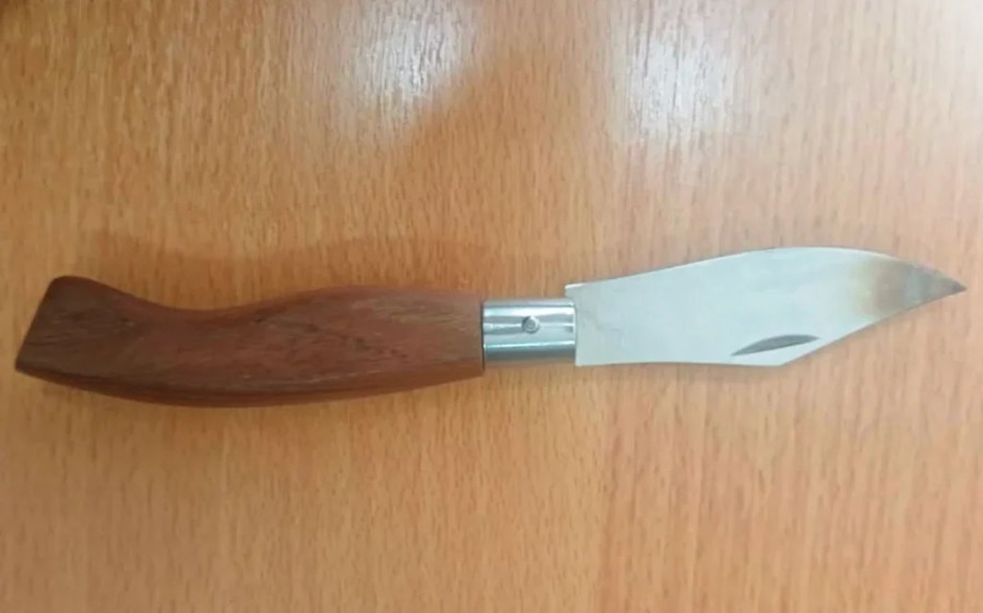 sougias.jpg